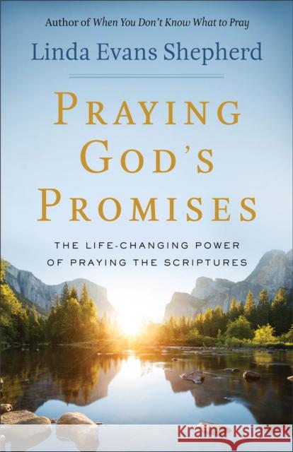 Praying God's Promises: The Life-Changing Power of Praying the Scriptures Linda Evans Shepherd 9780800723897