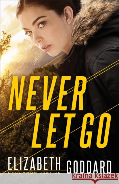 Never Let Go Elizabeth Goddard 9780800729844 Fleming H. Revell Company