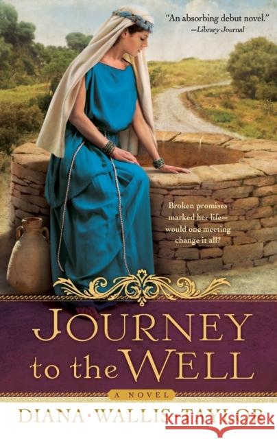 Journey to the Well Taylor, Diana Wallis 9780800733094