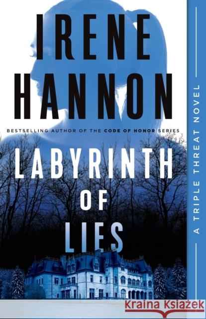 Labyrinth of Lies Irene Hannon 9780800736187 Baker Publishing Group