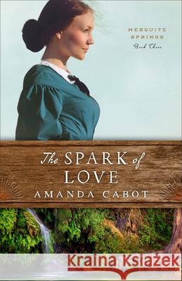 The Spark of Love Amanda Cabot 9780800741037 Fleming H. Revell Company
