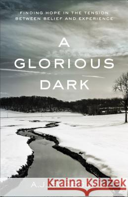 A Glorious Dark: Finding Hope in the Tension Between Belief and Experience A. J. Swoboda 9780801016967