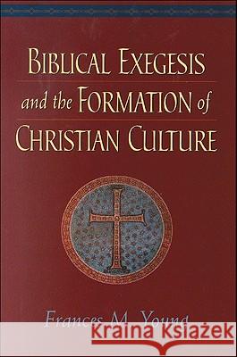 Biblical Exegesis and the Formation of Christian Culture Frances M. Young 9780801048166 Baker Academic