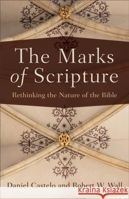The Marks of Scripture: Rethinking the Nature of the Bible Daniel Castelo Robert W. Wall 9780801049552