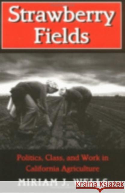 Strawberry Fields Miriam J. Wells 9780801431722 Cornell University Press