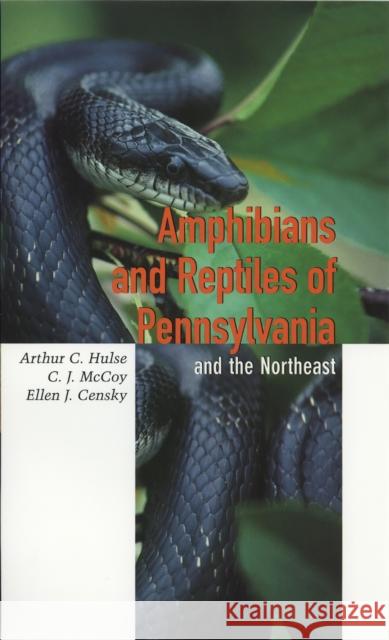 Amphibians and Reptiles of Pennsylvania and the Northeast Arthur C. Hulse J. C. McCoy Ellen Censky 9780801437687 