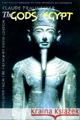 The Gods of Egypt Claude Traunecker David Lorton 9780801438349
