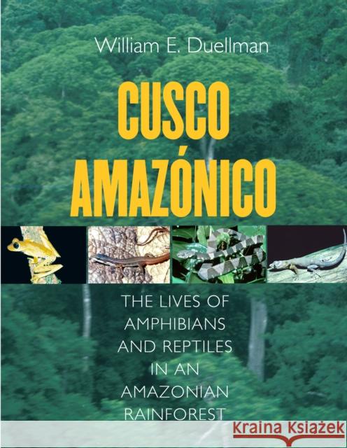 Cusco Amazonico : The Lives of Amphibians and Reptiles in an Amazonian Rainforest William Edward Duellman 9780801439971 Comstock Publishing