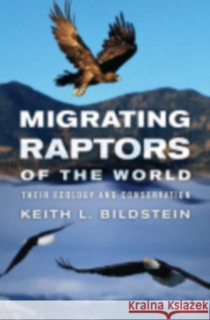 Migrating Raptors of the World: Their Ecology and Conservation Bildstein, Keith L. 9780801441790 Comstock Publishing