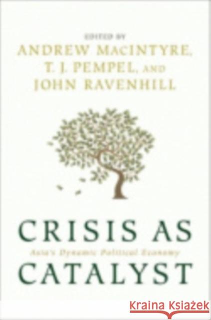 Crisis as Catalyst Macintyre, Andrew 9780801447143 Cornell University Press