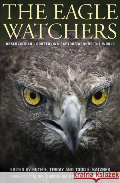 The Eagle Watchers Tingay, Ruth 9780801448737 0