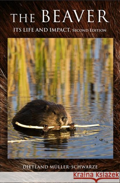 The Beaver: Natural History of a Wetlands Engineer Müller-Schwarze, Dietland 9780801450105