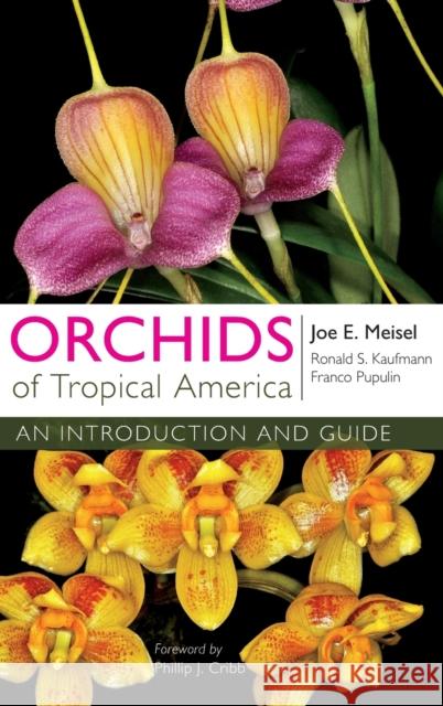 Orchids of Tropical America Joe E. Meisel Ronald S. Kaufmann Franco Pupulin 9780801453359 Comstock Publishing