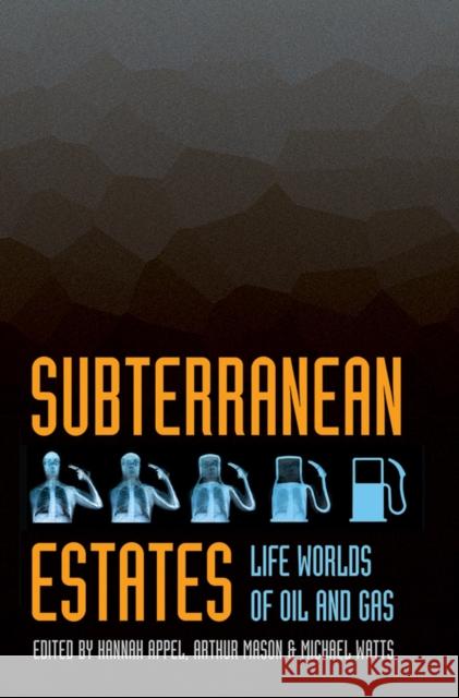 Subterranean Estates: Life Worlds of Oil and Gas Appel, Hannah 9780801453441
