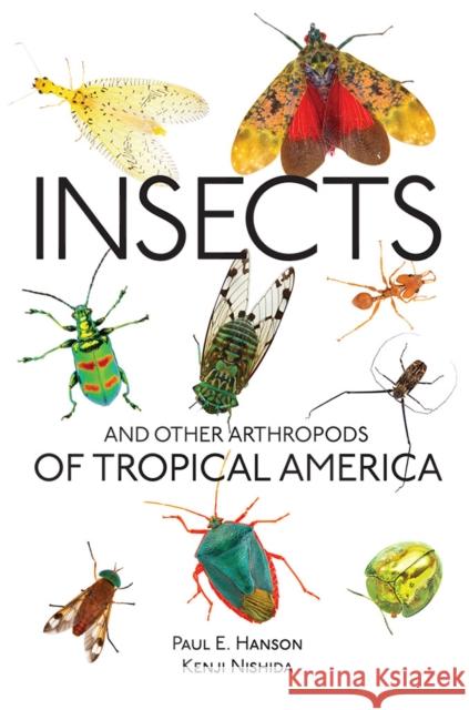 Insects and Other Arthropods of Tropical America Paul E. Hanson Kenji Nishida 9780801456947 Comstock Publishing