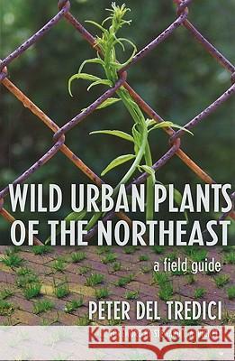 Wild Urban Plants of the Northeast : A Field Guide Peter De 9780801474583 Cornell University Press