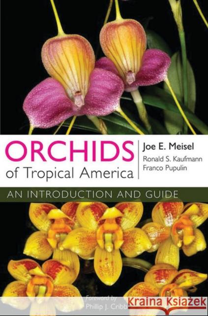 Orchids of Tropical America: An Introduction and Guide Joe E. Meisel Ronald S. Kaufmann Franco Pupulin 9780801477683 Comstock Publishing