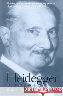 Heidegger Richard Polt 9780801485640