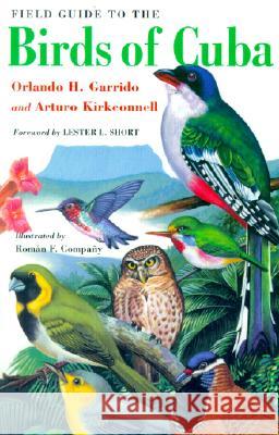 Field Guide to the Birds of Cuba Orlando H. Garrido Arturo Kirkconnell Lester Short 9780801486319 Comstock Publishing