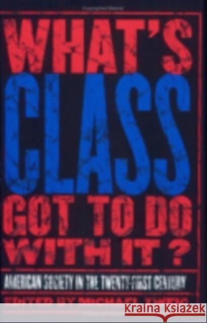What's Class Got to Do with It?: American Society in the Twenty-First Century Zweig, Michael 9780801488993 ILR Press