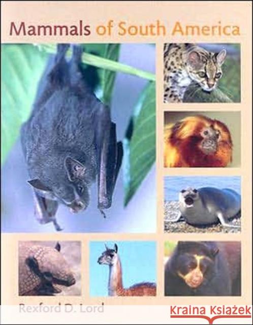 Mammals of South America Rexford D. Lord 9780801884948 Johns Hopkins University Press