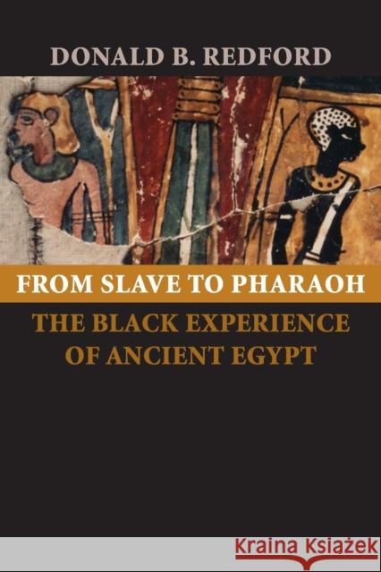 From Slave to Pharaoh: The Black Experience of Ancient Egypt Redford, Donald B. 9780801885440 Johns Hopkins University Press