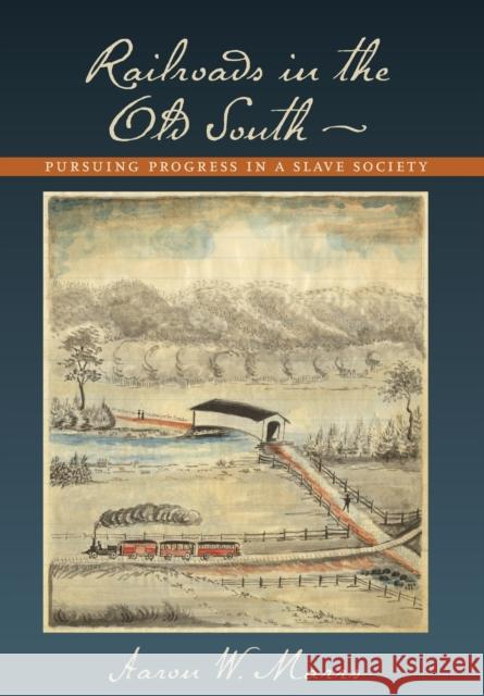 Railroads in the Old South Marrs, Aaron W. 9780801891304