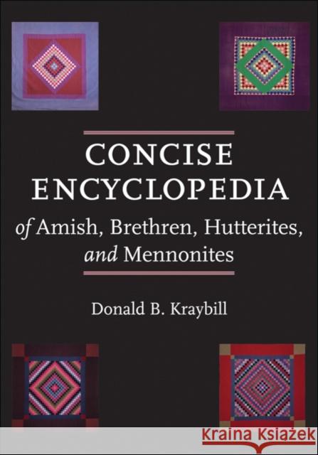 Concise Encyclopedia of Amish, Brethren, Hutterites, and Mennonites Donald B. Kraybill 9780801896576