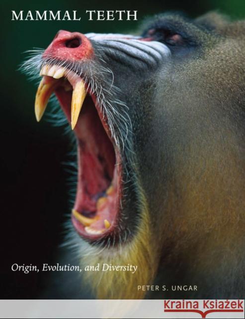 Mammal Teeth: Origin, Evolution, and Diversity Ungar, Peter S. 9780801896682 Johns Hopkins University Press