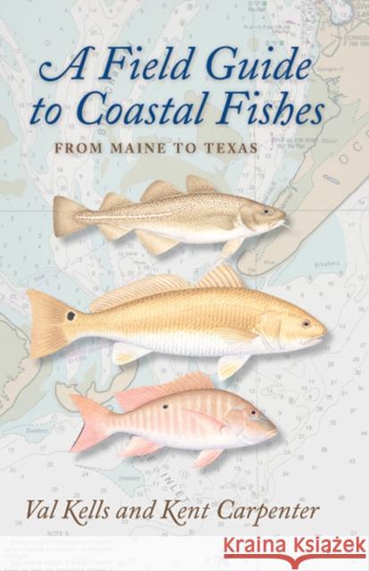 A Field Guide to Coastal Fishes: From Maine to Texas Kells, Valerie A. 9780801898389