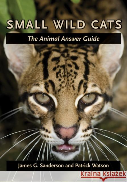 Small Wild Cats: The Animal Answer Guide Sanderson, James G. 9780801898853 0