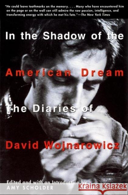 In the Shadow of the American Dream: The Diaries of David Wojnarowicz Scholder, Amy 9780802136718 Grove/Atlantic