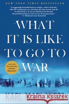 What It Is Like to Go to War Karl Marlantes 9780802145925 Grove Press