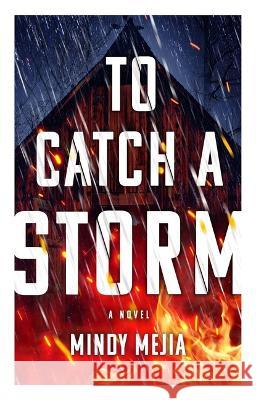 To Catch a Storm Mindy Mejia 9780802162007