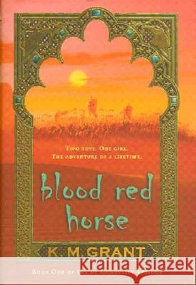 Blood Red Horse K. M. Grant 9780802777348 Walker & Company