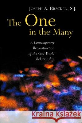 The One in the Many: A Contemporary Reconstruction of the God-World Relationship Bracken, Joseph A. 9780802848925 Wm. B. Eerdmans Publishing Company