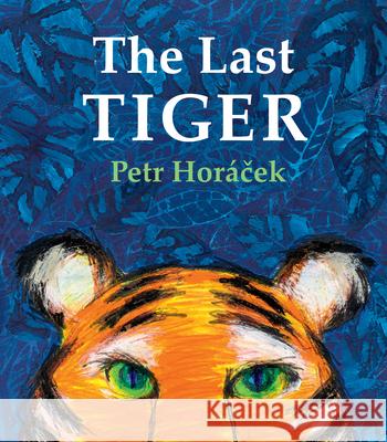 The Last Tiger Petr Horacek 9780802855527