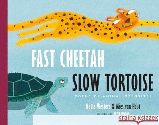 Fast Cheetah, Slow Tortoise: Poems of Animal Opposites Bette Westera Mies Va David Colmer 9780802856357