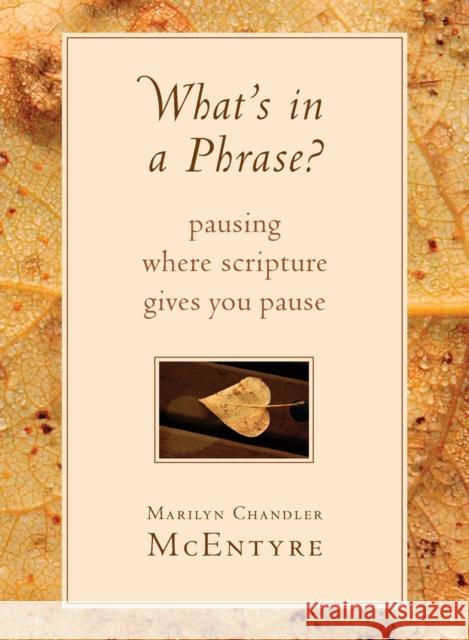 What's in a Phrase?: Pausing Where Scripture Gives You Pause McEntyre, Marilyn 9780802871145 William B. Eerdmans Publishing Company