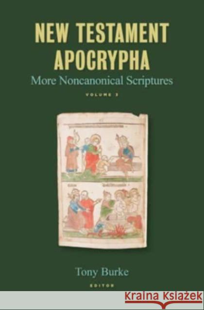New Testament Apocrypha, Vol. 3: More Noncanonical Scriptures  9780802877932 William B Eerdmans Publishing Co