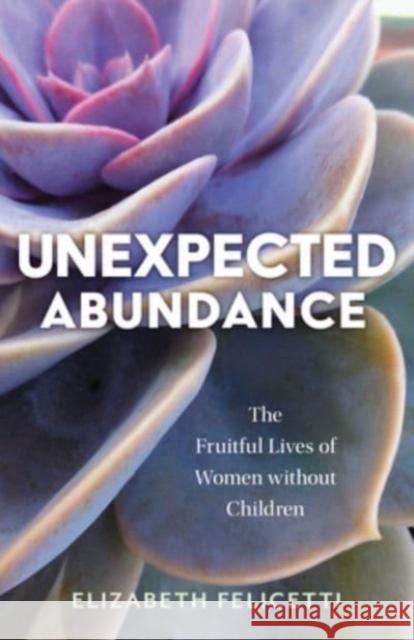 Unexpected Abundance: The Fruitful Lives of Women Without Children Elizabeth Felicetti 9780802882349 William B Eerdmans Publishing Co