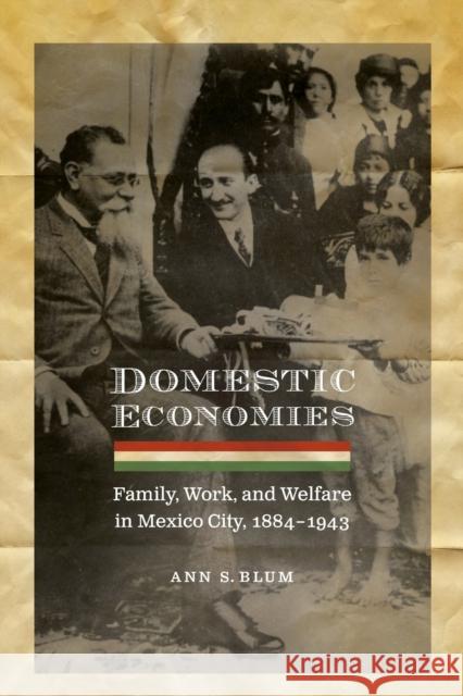 Domestic Economies: Family, Work, and Welfare in Mexico City, 1884-1943 Blum, Ann S. 9780803213593 University of Nebraska Press