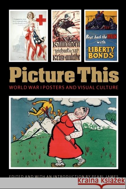 Picture This: World War I Posters and Visual Culture James, Pearl 9780803226104