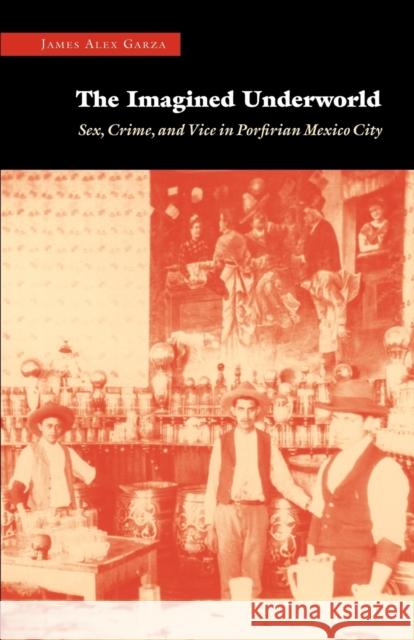 The Imagined Underworld: Sex, Crime, and Vice in Porfirian Mexico City Garza, James Alex 9780803228047