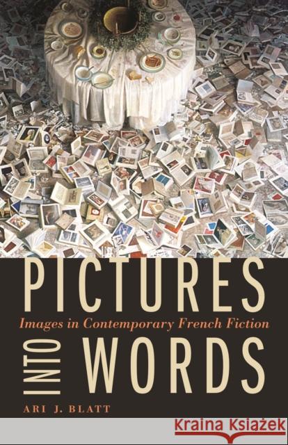 Pictures Into Words: Images in Contemporary French Fiction Ari J. Blatt 9780803238053 University of Nebraska Press