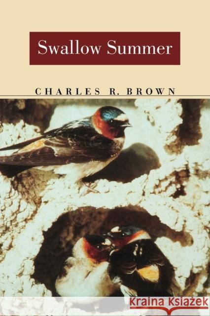 Swallow Summer Charles Robert Brown 9780803261457 University of Nebraska Press