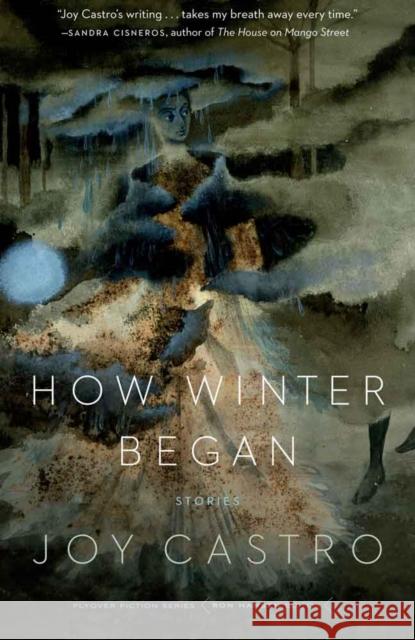 How Winter Began: Stories Joy Castro 9780803276604 University of Nebraska Press