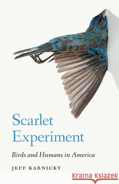 Scarlet Experiment: Birds and Humans in America Jeff Karnicky 9780803294981 University of Nebraska Press