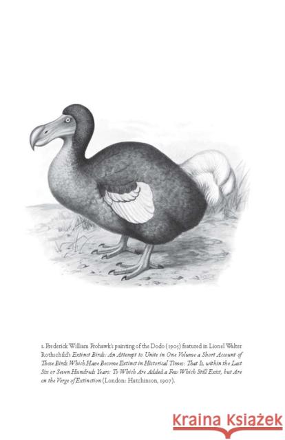 Flock Together: A Love Affair with Extinct Birds B. J. Hollars 9780803296428 University of Nebraska Press