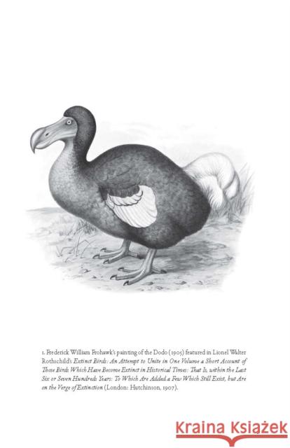 Flock Together: A Love Affair with Extinct Birds B. J. Hollars 9780803296428